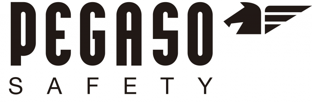Logo Pegaso Safety