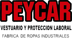 Logo Peycar